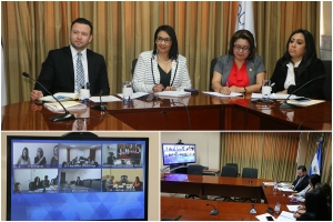 LA PRESIDENTE CCR  PARTICIPA EN REUNI&Oacute;N  VIRTUAL DE COMIT&Eacute; DE OLACEFS