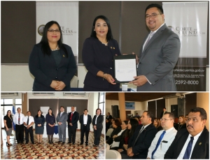 ORGANISMO DE DIRECCI&Oacute;N CONCRETA HIST&Oacute;RICO LEGADO A LA CORTE DE CUENTAS