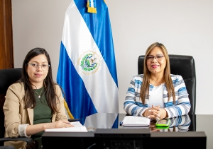 Primera Magistrada particip&oacute; en reuni&oacute;n virtual de EFS sobre fiscalizaci&oacute;n de la gesti&oacute;n de desastres