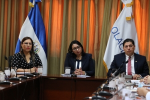 ORGANISMO DE DIRECCI&Oacute;N SE RE&Uacute;NE PARA ANALIZAR Y TOMAR MEDIDAS ANTE EMERGENCIA POR EL COVID-19