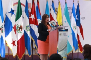 CONCLUYE SEMINARIO INTERNACIONAL DE AUDITOR&Iacute;A COORDINADA SOBRE VIOLENCIA DE G&Eacute;NERO