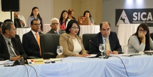PARTICIPACI&Oacute;N DEL CONSEJO FISCALIZADOR REGIONAL EN LA LXXIX REUNI&Oacute;N ORDINARIA DEL CONSEJO DE MINISTROS DE RELACIONES EXTERIORES DEL SISTEMA DE LA INTEGRACI&Oacute;N CENTROAMERICANA (SICA)