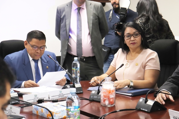 PRESIDENTA DE CCR PROFUNDIZA ASIGNACI&Oacute;N PRESUPUESTARIA  2020 ANTE ASAMBLEA LEGISLATIVA