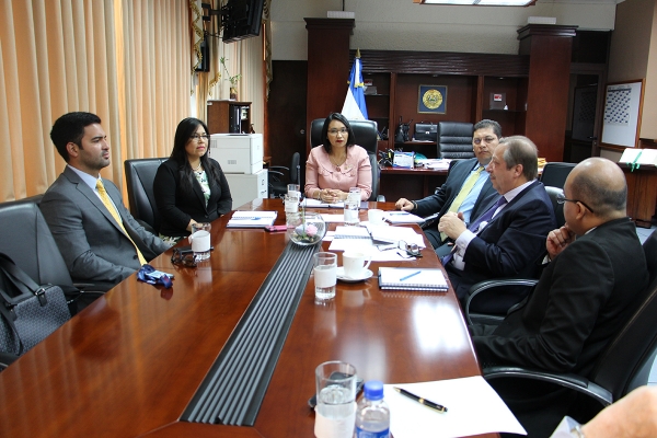 ORGANISMO DE DIRECCI&Oacute;N CCR SE RE&Uacute;NE CON CONSULTOR CHILENO