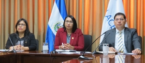 ORGANISMO DE DIRECCI&Oacute;N PARTICIPA EN VIDEOCONFERENCIA CON DIRECTOR DE PROYECTO DE AUDITOR&Iacute;AS AMBIENTALES DE LA GIZ