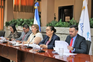 CCR PARTICIPA EN LA REFORMULACI&Oacute;N DEL PLAN DE TRABAJO DE COMISI&Oacute;N DE PARTICIPACI&Oacute;N CIUDADANA DE LA OLACEFS