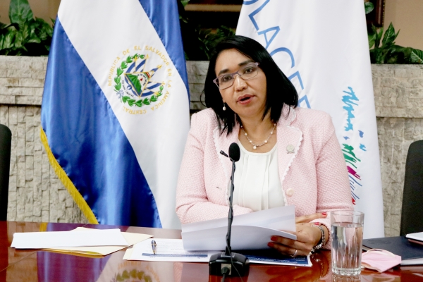 PRESIDENTE CCR PARTICIPA EN WEBINARIO INTERNACIONAL