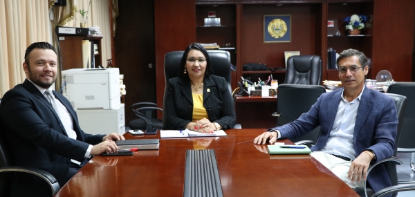 MIEMBRO DE MISI&Oacute;N  DEL  PNUD SE RE&Uacute;NE CON PRESIDENTE CCR