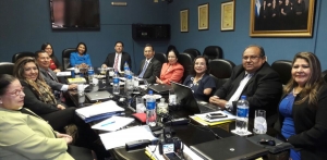 ORGANISMO DE DIRECCI&Oacute;N DE LA CORTE DE CUENTAS SOSTIENE REUNI&Oacute;N CON EL PLENO DEL CNJ