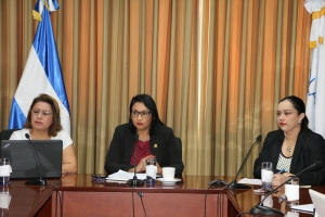 CORTE DE CUENTAS PARTICIPA EN REUNI&Oacute;N VIRTUAL DEL COMIT&Eacute;  DE CREACI&Oacute;N DE CAPACIDADES DE LA OLACEFS