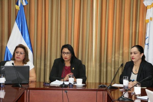 CORTE DE CUENTAS PARTICIPA EN REUNI&Oacute;N VIRTUAL DEL COMIT&Eacute;  DE CREACI&Oacute;N DE CAPACIDADES DE LA OLACEFS